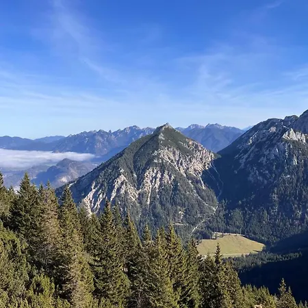 Angerwies In - Tirol *