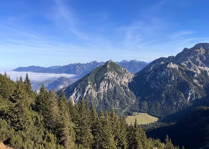 Angerwies In - Tirol *